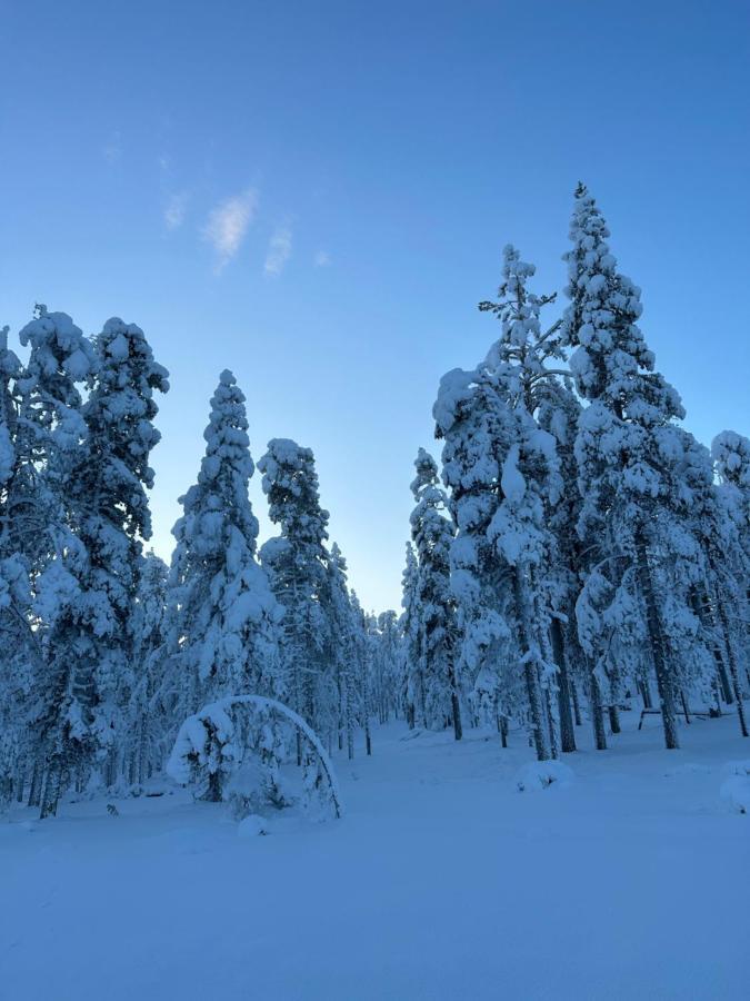 Levi Aurora Sky Villa Eksteriør bilde